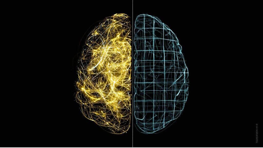 cérebro humano e viés cognitivo na tomada de decisão